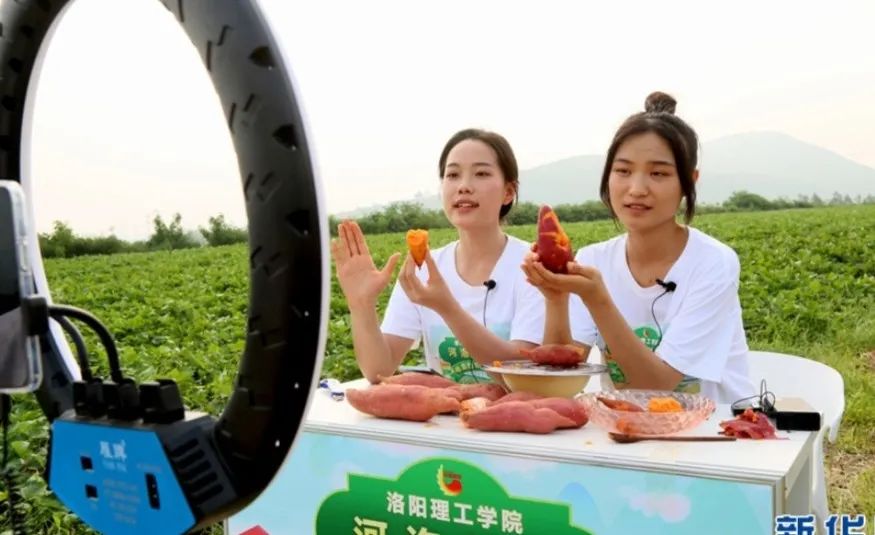 洛阳理工学院3
