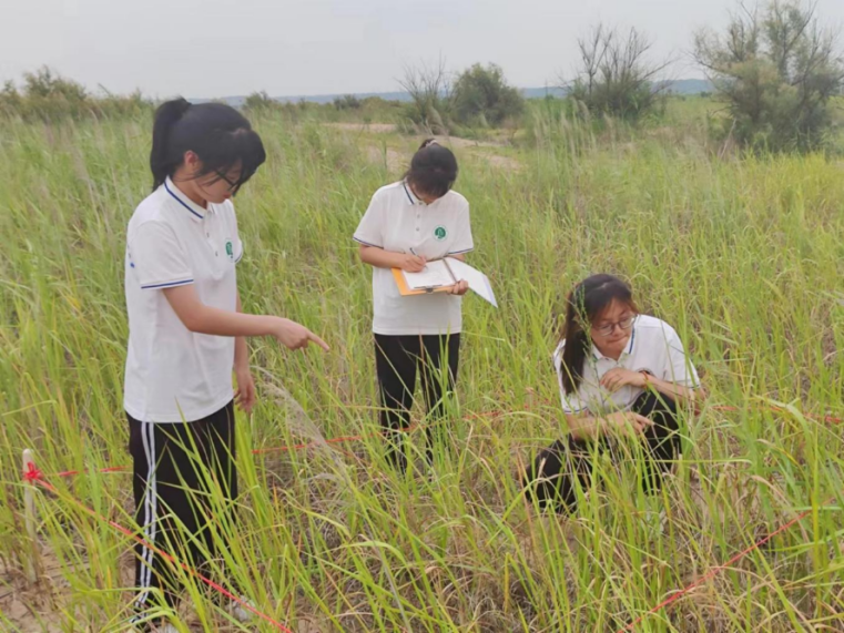 洛阳师范学院14