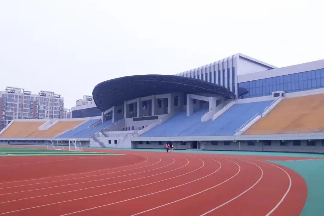 郑航融媒19