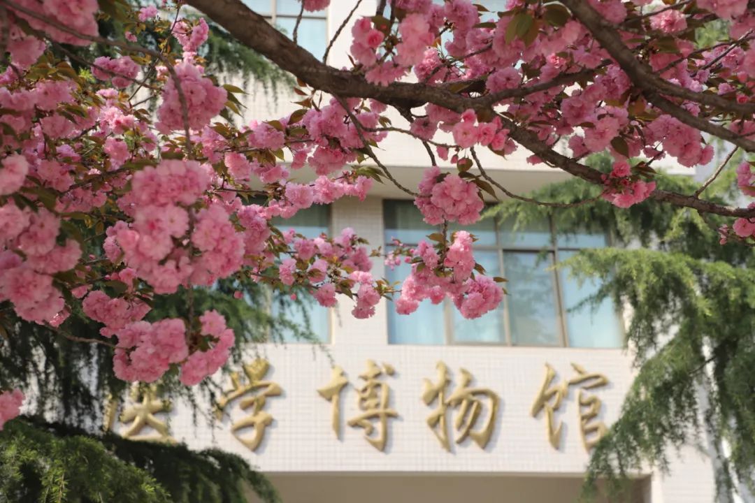 郑州澍青医学高等专科学校6