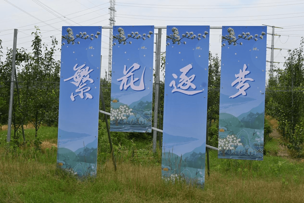 图片 1